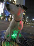 IMG_3830hikaru.jpg
