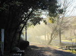 IMG_3949syotou.jpg