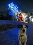 IMG_4002pu-ru.jpg