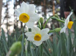 01c7a740.jpg