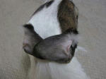 IMG_5941mimi.jpg
