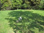 IMG_6041midori.jpg