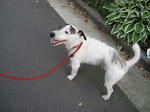 IMG_6225kodomo.jpg