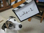 IMG_6651take1.jpg
