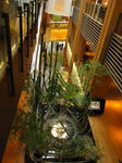 IMG_6958midtown.jpg