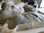 IMG_6989panpan.jpg