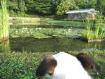 IMG_7027gahaku.jpg