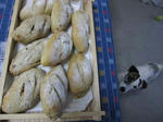 IMG_7107pan.jpg