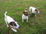 IMG_7248tomo.jpg