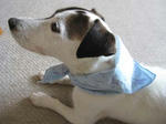 IMG_7320hiehie1.jpg
