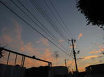 IMG_7835yuuyake.jpg