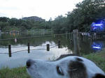 IMG_7954saiten1.jpg