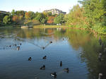 IMG_8499bunnka1.jpg