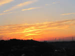 IMG_8585asayake.jpg