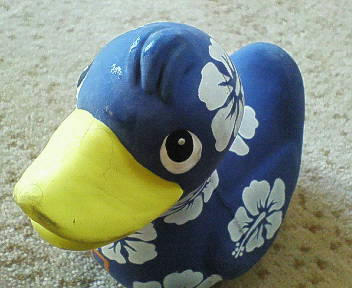 NEC_0042.JPG