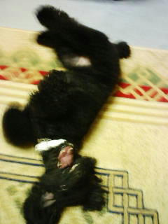 200708082235.jpg