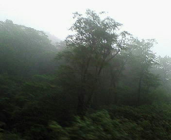 NEC_0060.JPG