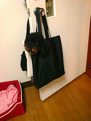 20071008221606.jpg