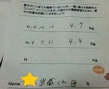 be6e7ccbjpeg