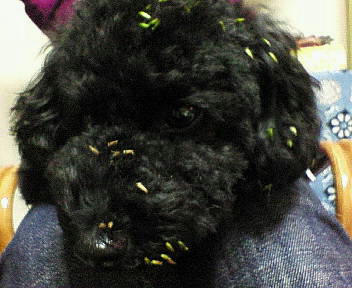 200710161736000.jpg