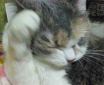 886a0127.jpeg