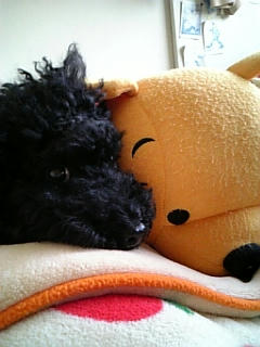 080307_102410.jpg
