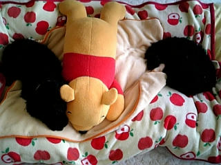 080307_102428.jpg