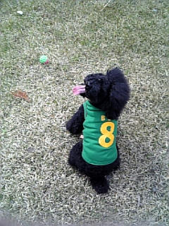 080417_135556.jpg
