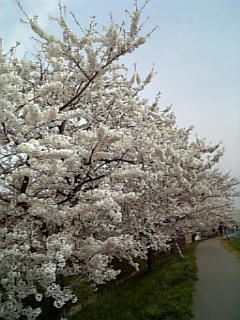 080417_145054.jpg