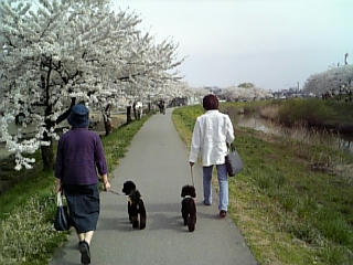 080417_145400.jpg