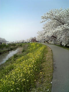 080417_150811.jpg