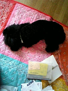 080420_133507.jpg