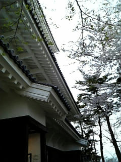 080420_180136.jpg