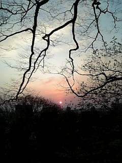 080420_180452.jpg