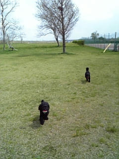 080425_123654.jpg