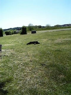 DVC00025.JPG