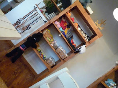 P1010273.jpg