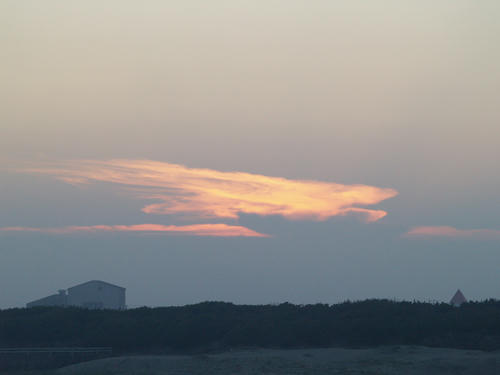 P8114541.JPG