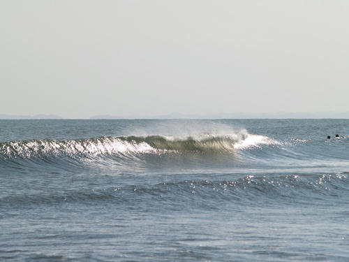 PB037205.JPG