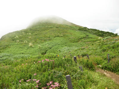 東ルート