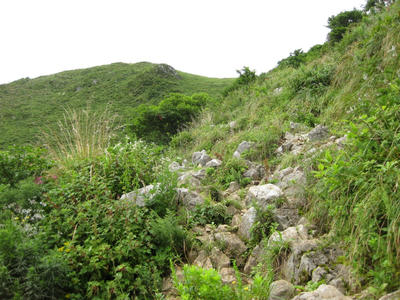 7合目辺りの登山路