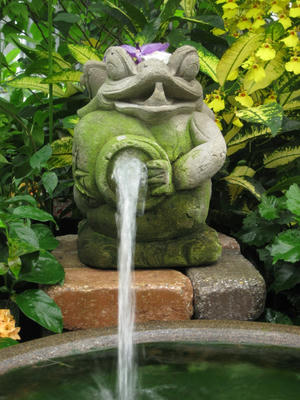 お水をどうぞ