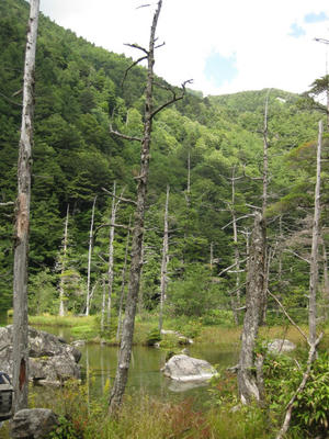 荘厳
