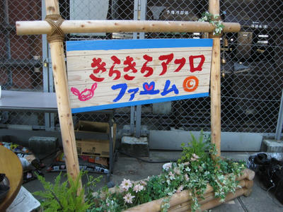 記念に撮影