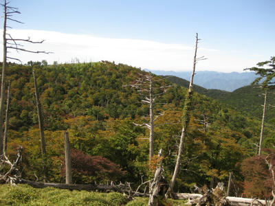 ちらほら紅葉が始まっている