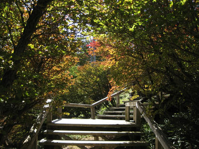 紅葉のトンネル