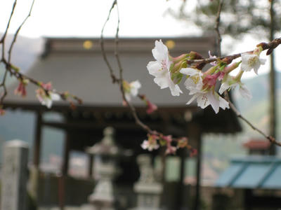 日本一料理の神社