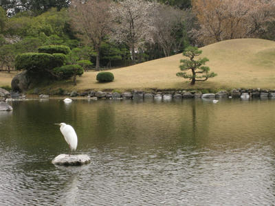白鷺