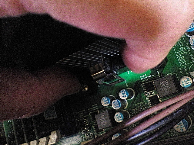 NEC_2330.JPG