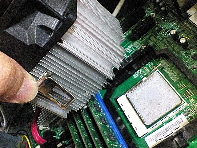 NEC_2331.JPG